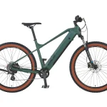 Prophete E-Bike MTB Dice 1.0 Vollintegriert Bronze Grün Matt 27,5″