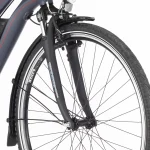 Fischer E-Bike Trekking-Fahrrad ETD 1806