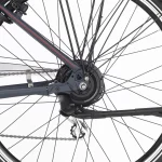 Fischer E-Bike Trekking-Fahrrad ETD 1806
