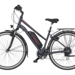 Fischer E-Bike Trekking-Fahrrad ETD 1806